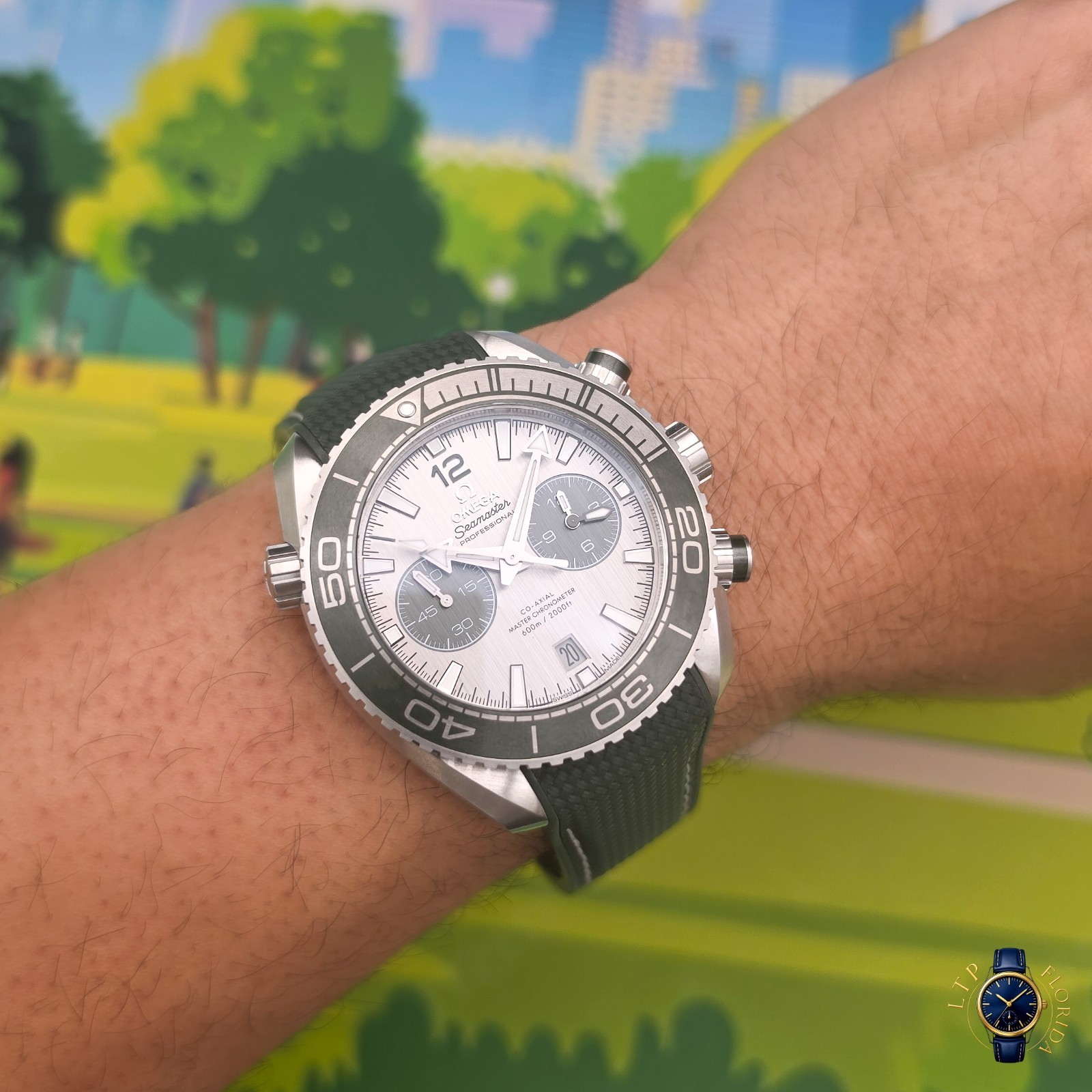 2026 | Omega | Seamaster | Planet Ocean 600M| Grey Dial | 215.32.46.51.06.001