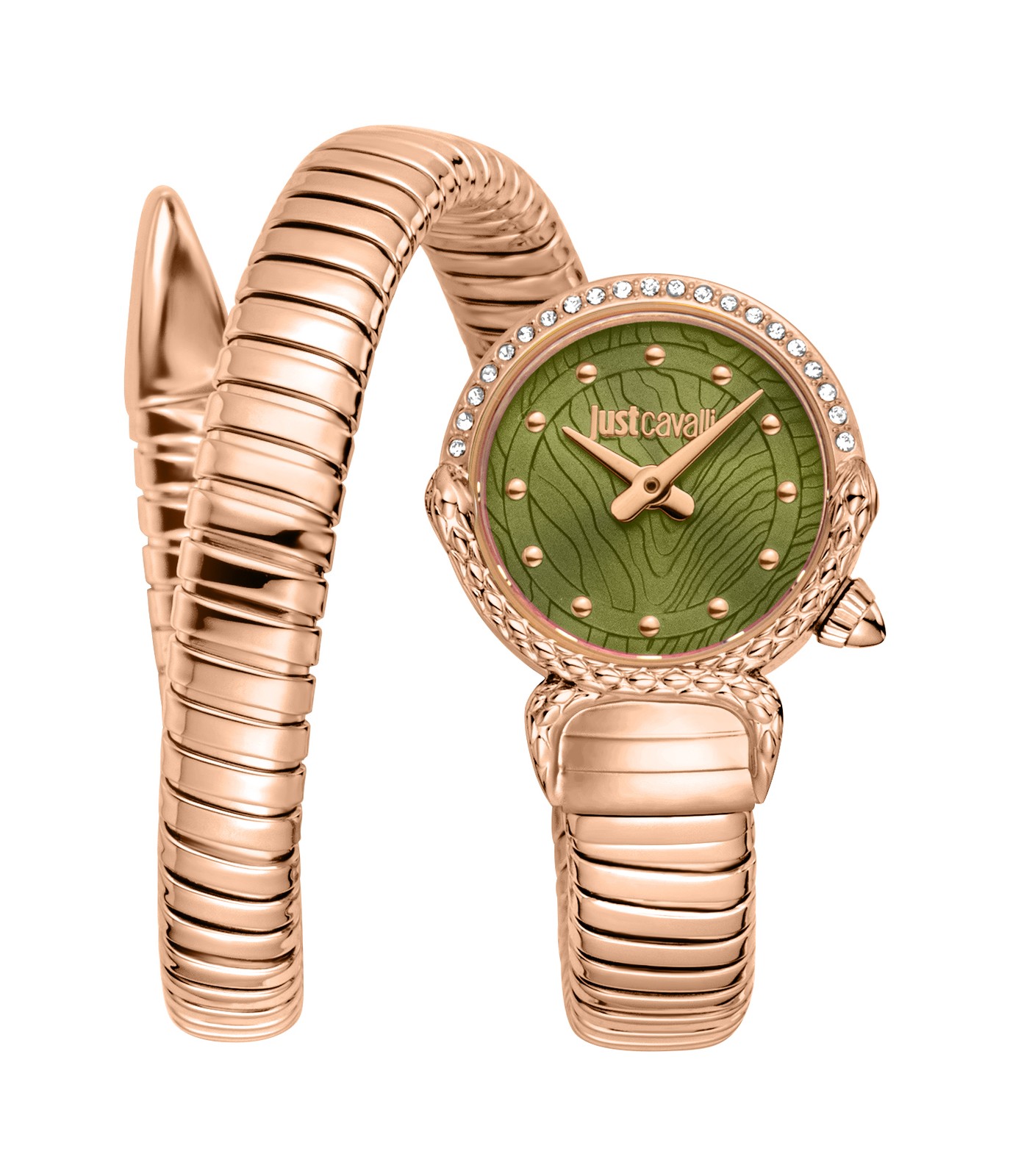 Just Cavalli Women’s Radiosa 22mm Quartz Watch JC1L350M0045