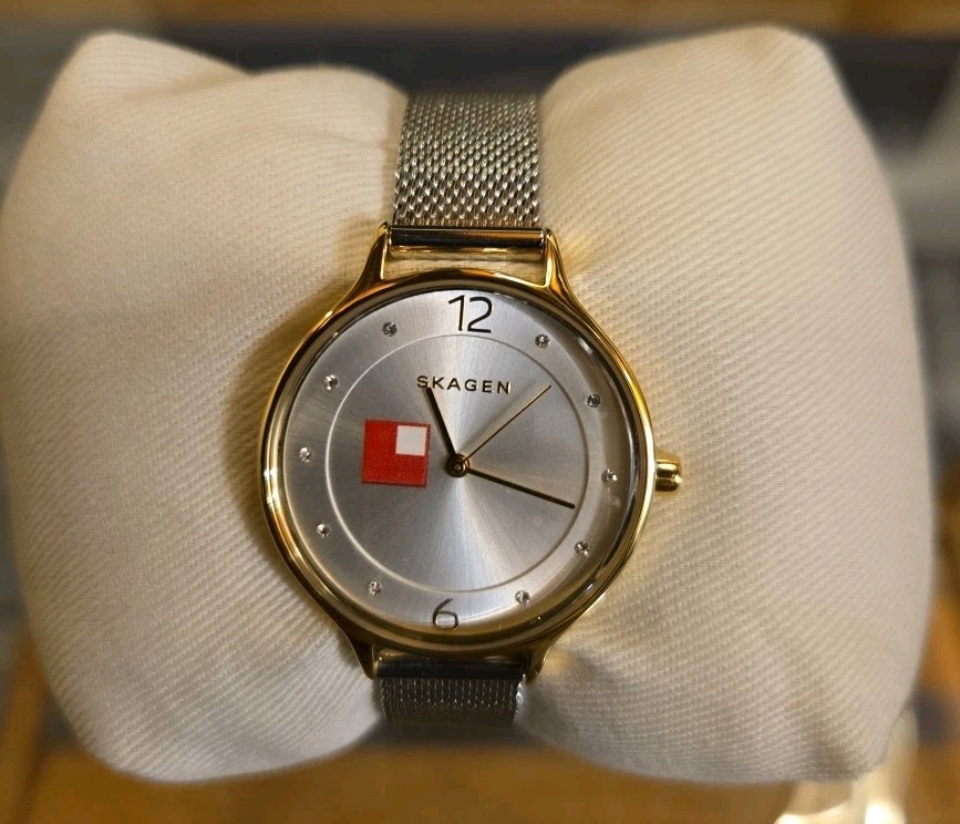 Skagen Anita Women’s Watch Brand New In Box Minimalist Slim Gift Stunning Dial