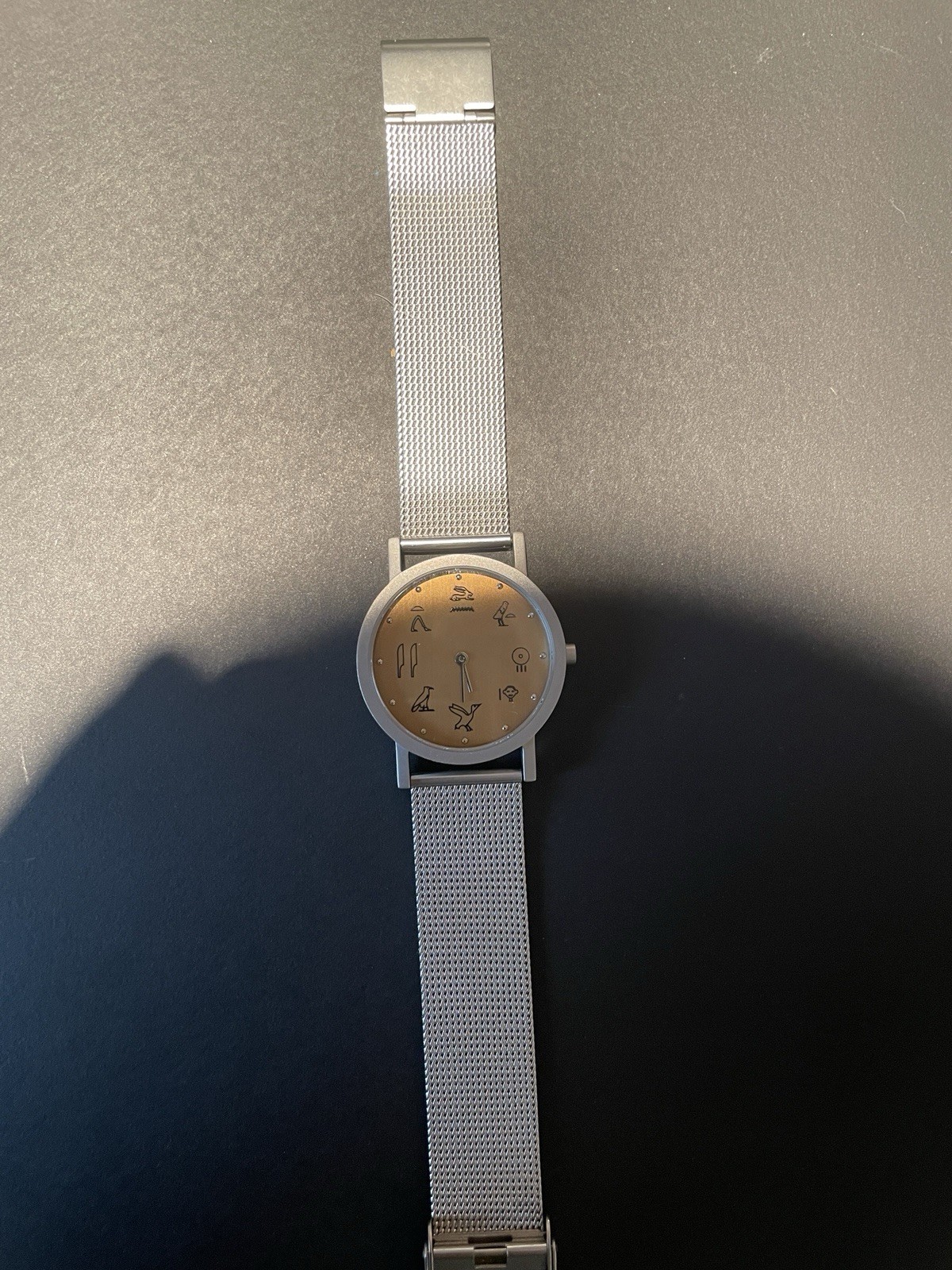MOMA Watch Time Flies