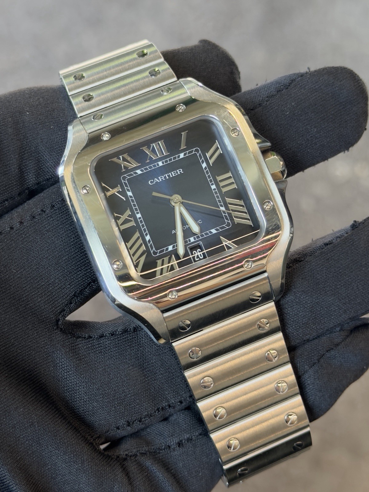 Cartier Santos de Cartier WSSA0030