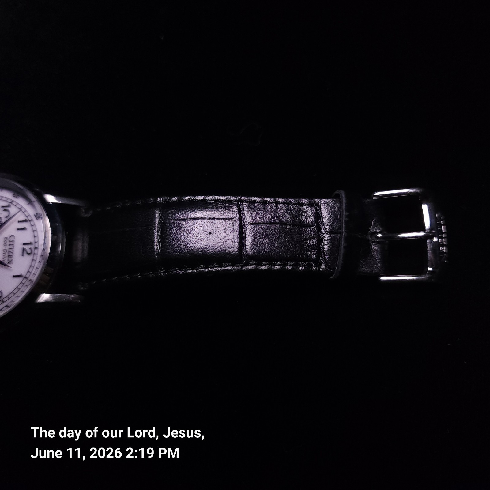 Citizen Classic Corso Eco-Drive AO9000-06B 42mm Eco-Drive Men’s Watch