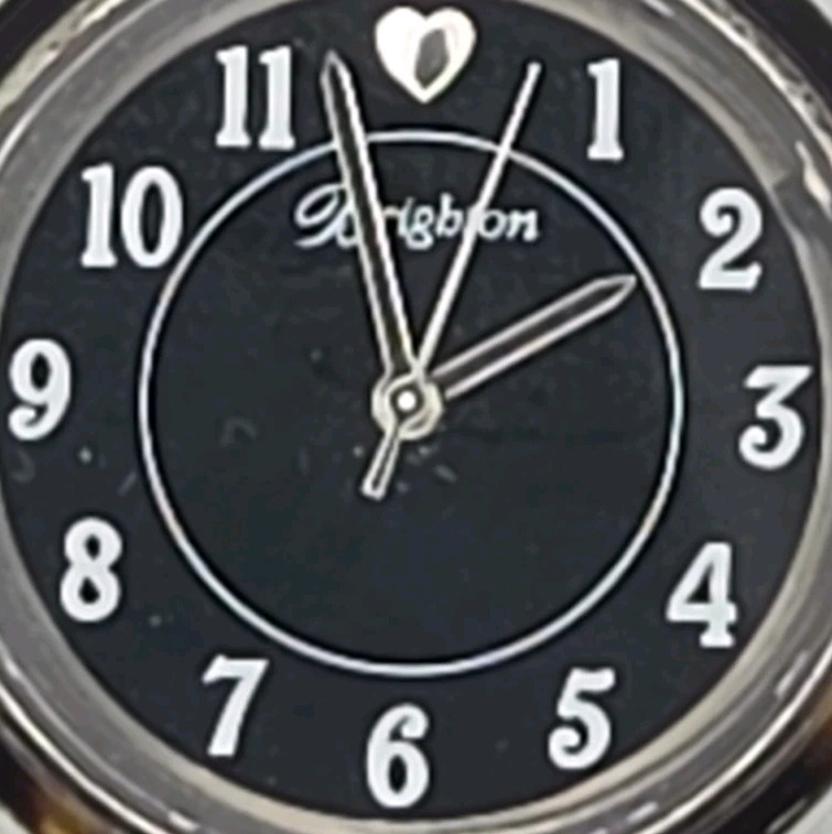 Brighton Monarch 35mm Case Japan Quartz Watch Tortise Shell Band