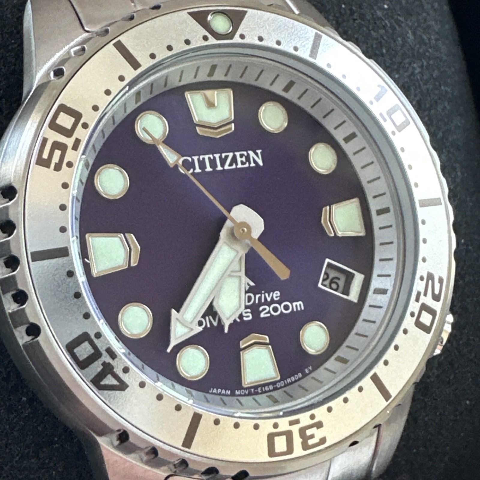 Citizen Promaster Women’s Purple Date Indicator Eco-Drive Watch 36MM EO2027-50X