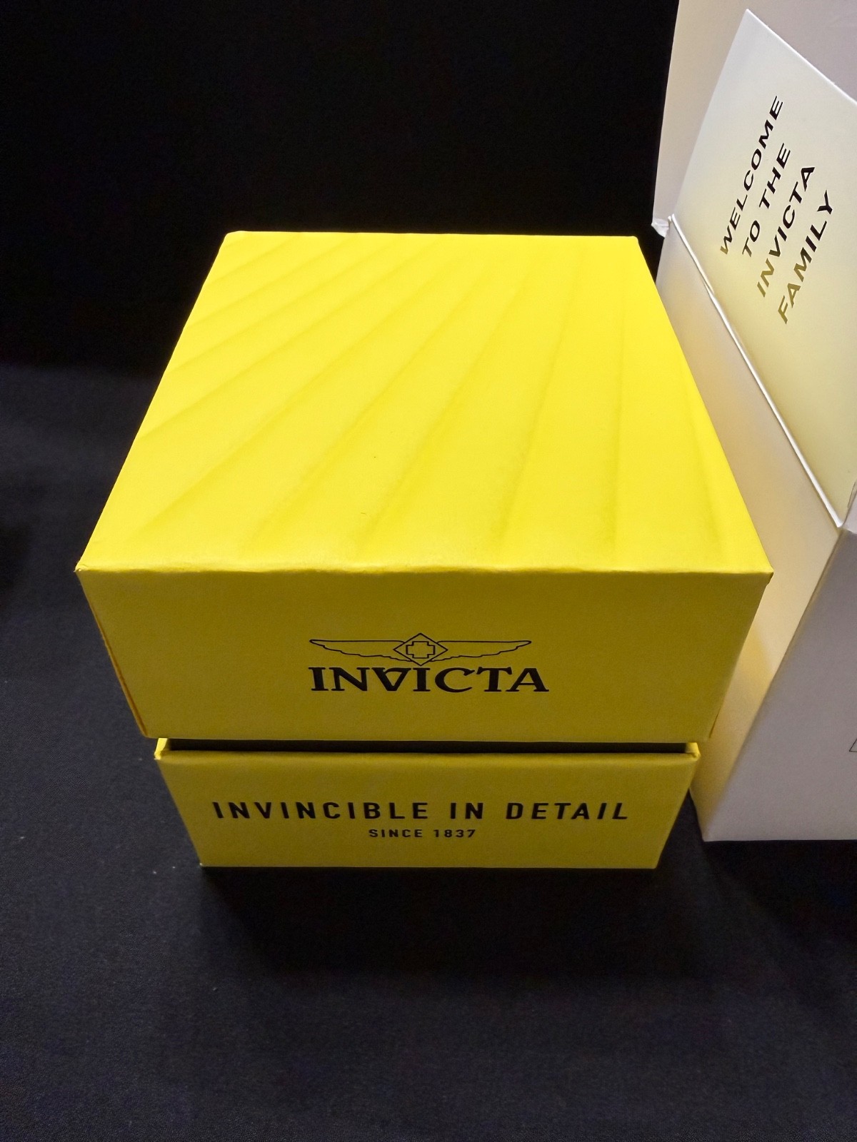 Invicta Pro Diver Aurenova Men’s Watch – 40mm. Steel (50957)